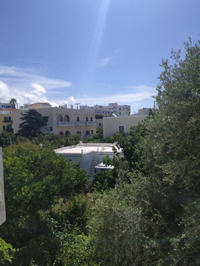 Bed and Breakfast Enalion-Тинос Экстерьер фото